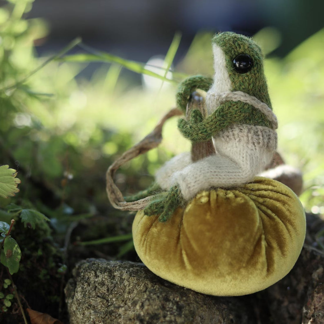🐸 Milo the Frog